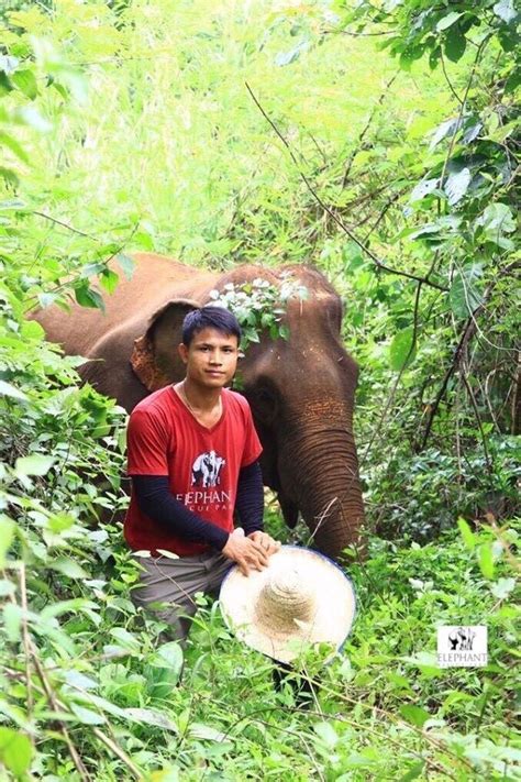 Help Save - Elephant Rescue Park