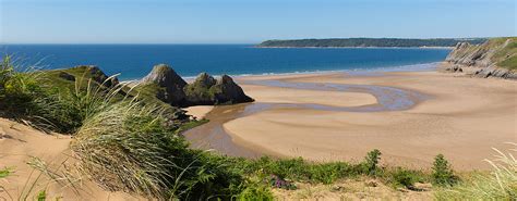 What Beaches Can Dogs Go On In Swansea