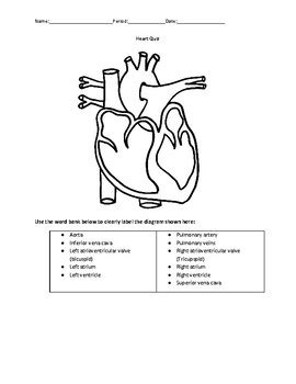 Anatomy Heart Labeling Quiz