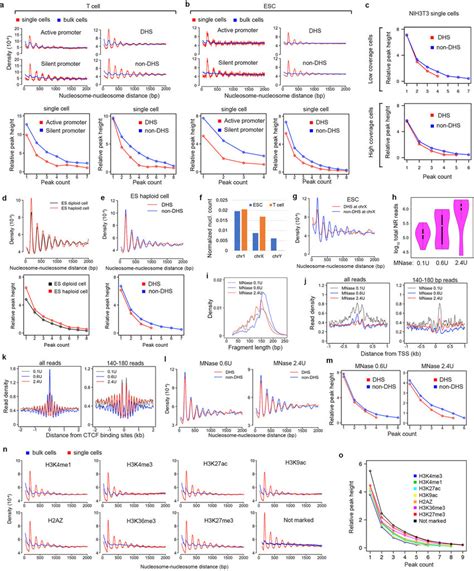 Uniformity in nucleosome spacing is higher in silent heterochromatin... | Download Scientific ...