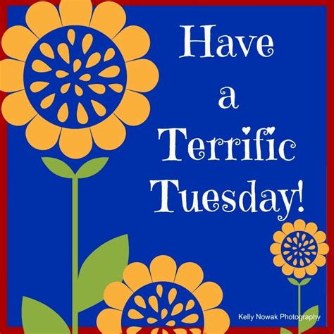 Have a Terrific Tuesday | Good morning tuesday, Happy tuesday quotes, Tuesday greetings