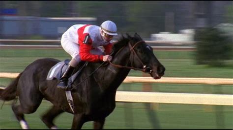 Ruffian - 2007 | Thoroughbred racehorse, Ruffian, Horses