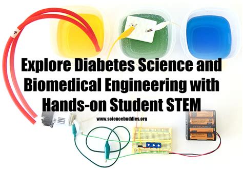 Student Biomedical Engineering Projects with Real-world Connections ...