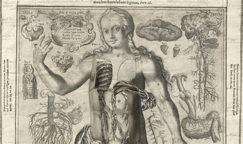 The Getty Presents Anatomy & Art from the Renaissance to Today | Fine Books & Collections