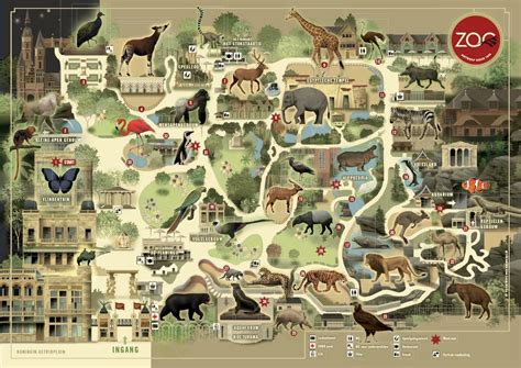 The plan of Antwerpen Zoo, Belgium. - Maps on the Web | Zoo map, Zoo ...