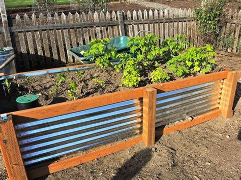 a garden filled with lots of plants next to a wooden fence and some dirt on the ground