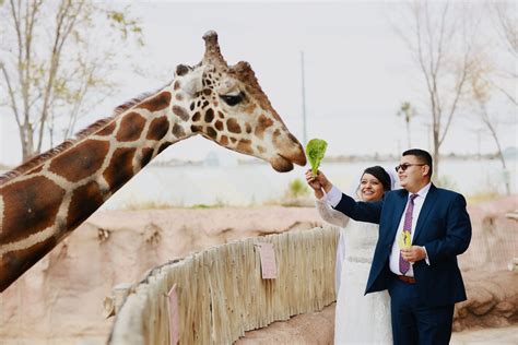 El Paso Weddings — El Paso Zoo Events