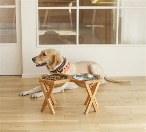 Raise your dog's experience with new wooden elevated dog bowls – The ...