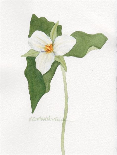 Single White Trillium 5 X 7 Original Watercolor - Etsy UK | Flower ...