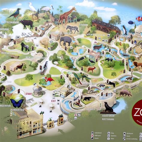 ZOO Antwerpen (Dierentuin) (Antwerp) - All You Need to Know BEFORE You Go