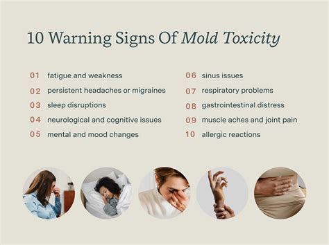 10 Warning Signs Of Mold Toxicity You Shouldn't Ignore