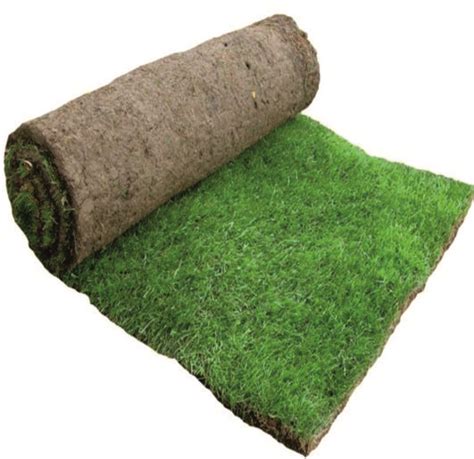 NATURAL GRASS CARPET | Grass for Gardening | Landscaping | Lawn Grass - FARMERS CASTLE