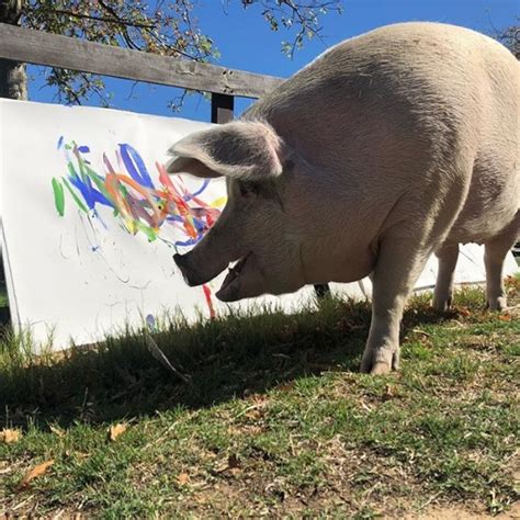 Pigcasso The Rescue Pig Loves Painting And Her Works Already Earned Her $150,000 - Small Joys