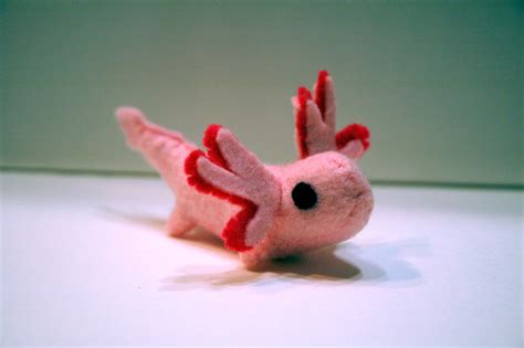 Axolotl Plushie by Songsofmuse on DeviantArt