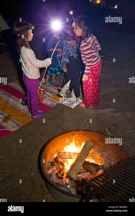 Roasting marshmallows on a camp fire in Greenfield State Park in ...