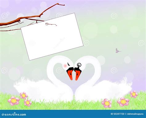 Swans in love stock illustration. Illustration of swans - 55347720