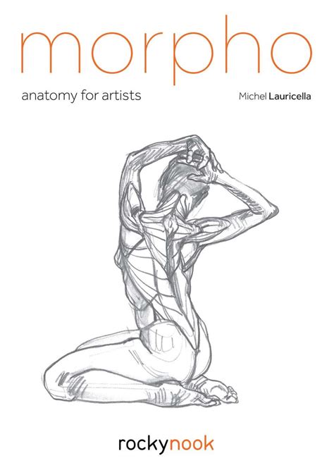 Morpho: Anatomy for Artists (Morpho Anatomy for Artists Paperback ...