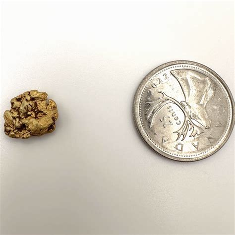 Gold Nugget 2.89g SOLD - Mammoth Gold Nuggets