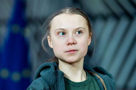 Greta Thunberg celebrates her 18th birthday with a snarky tweet - WSVN ...