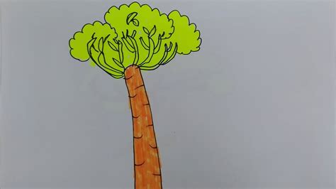 Baobab Tree Drawing at GetDrawings | Free download