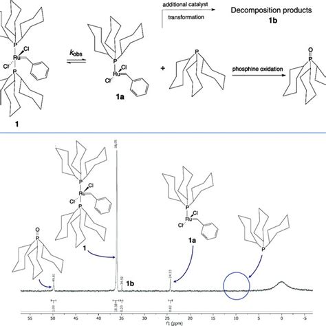 Scheme 1. Schematic Representation of the Phosphine... | Download ...