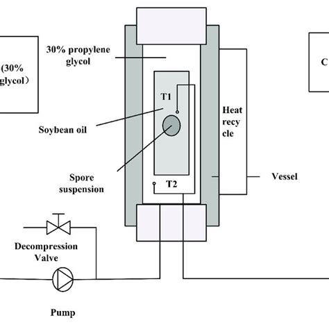 | Schematic diagram of the high-pressure experimental system: T 1 and T ...