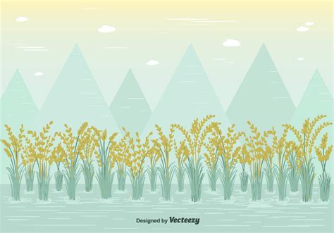 Free Rice Field Vector 116811 Vector Art at Vecteezy