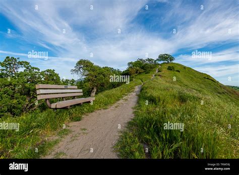 Mount Diablo State Park Stock Photo - Alamy