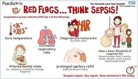 HMC Sepsis Programme Focuses on Early Detection, Prevention - Marhaba Qatar