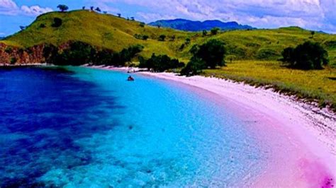 Pink Beach Pulau Komodo Mampu Memukau Dunia