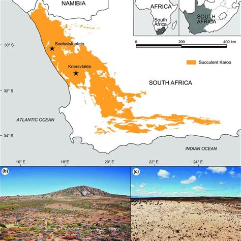 Spatial delimitation of Succulent Karoo and the two study areas (a ...