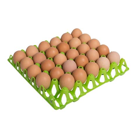 Washable Plastic Egg Tray (30 Eggs)