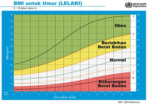 Cara Kira BMI Yang Lengkap Merangkumi Bayi Hingga Orang Dewasa