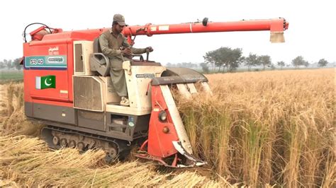 Kubota SR40 Combine Harvester Field Working Import From Japan - YouTube