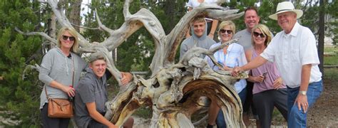 Yellowstone National Park Tours | Yellowstone Private Tours