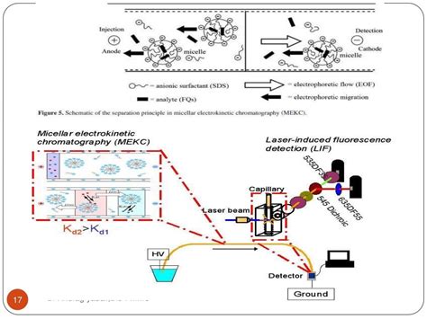 Capillary electrophoresis and application by Dr. Anurag Yadav