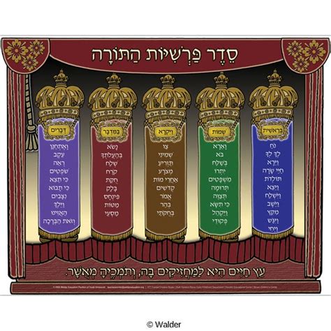 The Parshios of the Torah | Walder Education