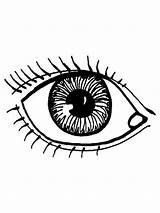 Coloring Eye Pages Printable Preschool Eyes Senses Colouring Doctor  sketch template