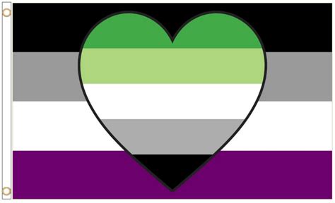 LGBTQ Pride Flag Aromantic Asexual Aro-ace Pride - Etsy UK