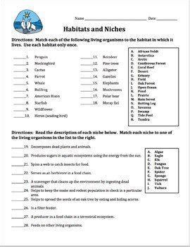 Habitat And Niche Worksheet