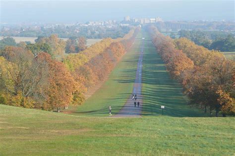 Windsor Great Park - Tours 2 order | Tours 2 order