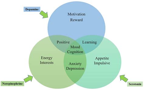 Dopamine Detox: What Is It And How Do You Do It?