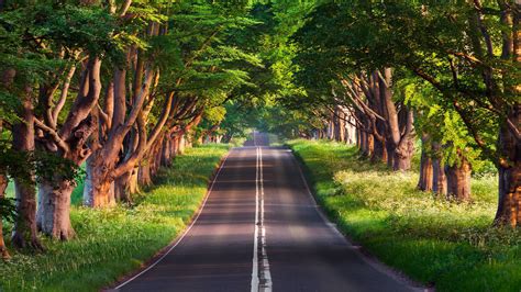 4k Nature Road Wallpapers - Wallpaper Cave