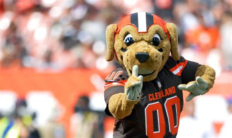 Chomps (Cleveland Browns) | SportsMascots Wikia | FANDOM powered by Wikia