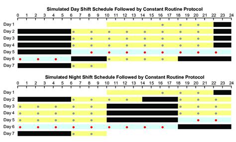 Schematic of the study design, showing the simulated day shift... | Download Scientific Diagram