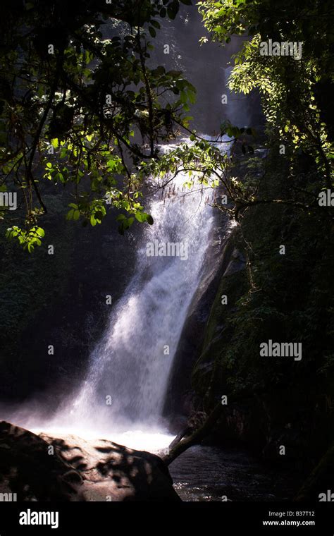 Atlantic forest brazil waterfall hi-res stock photography and images - Alamy