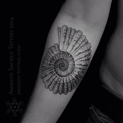 Pin by Joaquin Novello on Tattoo | Shell tattoos, Tattoo designs men, Nautilus tattoo