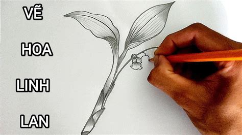 Vẽ HOA LINH LAN [Hoa Lan Chuông] bằng bút chì | How to draw a Lily Of The Valley - YouTube