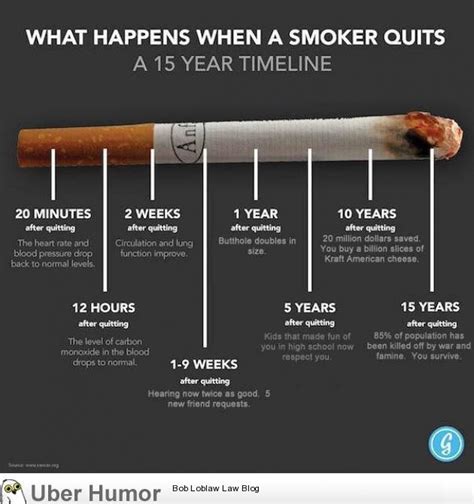 It’s time to quit smoking. | Funny Pictures, Quotes, Pics, Photos, Images. Videos of Really Very ...