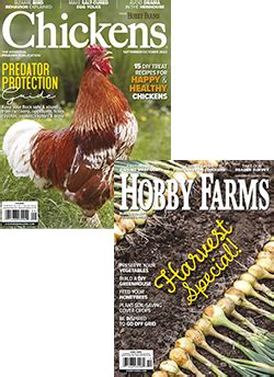 Chickens + Hobby Farms Combo - Hobby Farms